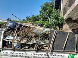 Best Basement Cleanout  in Hastings, NE